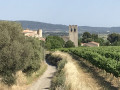 Autour du Mas de Lignières à Casseras Autour du Mas de Lignières à Casseras