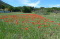 Rochers de Baude et Gorges de Badarel Rochers de Baude et Gorges de Badarel