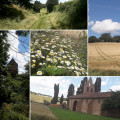 À travers les coteaux du Lauragais À travers les coteaux du Lauragais