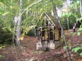 Forêt d'Eawy pour petits et grands autour de la chapelle Saint-Étienne Forêt d'Eawy pour petits et grands autour de la chapelle Saint-Étienne