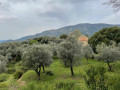 Boucle de Poggio di Tallano Boucle de Poggio di Tallano