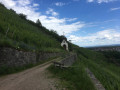 Le Château de l'Engelbourg et la Chapelle Saint-Urbain Le Château de l'Engelbourg et la Chapelle Saint-Urbain