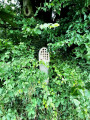 Chapelle sur le bord de la route Chapelle sur le bord de la route