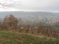 Château de Chasselas Château de Chasselas