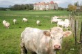 Château de la Motte-Josserrand Château de la Motte-Josserrand