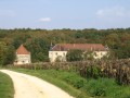 A travers le Bois de Couloutre A travers le Bois de Couloutre