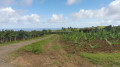 Chemin agricole de retour vers la Ferme de la Digue Chemin agricole de retour vers la Ferme de la Digue