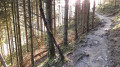 Chemin après la passerelle Chemin après la passerelle