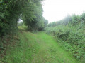 Sentier de petit bois à Étroeungt Sentier de petit bois à Étroeungt