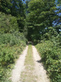 Le circuit des Bois de Fagne Le circuit des Bois de Fagne