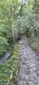 Chemin caladé Chemin caladé