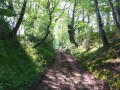 Chemin creux ... Chemin creux ...
