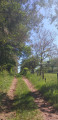 Chemin d'ambiance Chemin d'ambiance