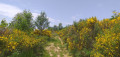 Chemin d'ambiance Chemin d'ambiance