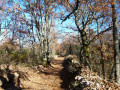 Chemins et Dolmens entre Chandolas et Font Méjanne Chemins et Dolmens entre Chandolas et Font Méjanne