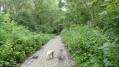 chemin de béthléem chemin de béthléem