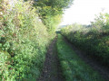 Sentier de l'octroi à Ferrière-la-Grande Sentier de l'octroi à Ferrière-la-Grande