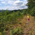 Chemin des Crêtes Chemin des Crêtes