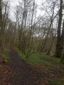 Chemin des Sangliers Chemin des Sangliers