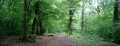 De la Seine à la Forêt de Meudon De la Seine à la Forêt de Meudon