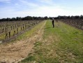 Chemin herbeux Chemin herbeux