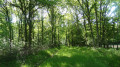 La Sologne de la forêt et des étangs autour de Crouy-sur-Cosson La Sologne de la forêt et des étangs autour de Crouy-sur-Cosson