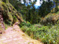 Chemin inca Chemin inca