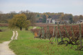 À la découverte des vignobles autour de Verrières À la découverte des vignobles autour de Verrières