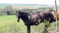 Montjavoult et Parnes Montjavoult et Parnes