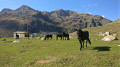 Des Étangs de Fontargente aux Étangs de Joclar en passant en Andorre Des Étangs de Fontargente aux Étangs de Joclar en passant en Andorre