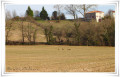 Boucle de Saint-Cricq-de-Chalosse Boucle de Saint-Cricq-de-Chalosse