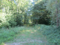 Circuit des machines anciennes à Hon-Hergies Circuit des machines anciennes à Hon-Hergies