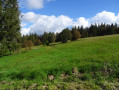 Boucle des Vosges, Hohneck, Lacs et myrtilles Boucle des Vosges, Hohneck, Lacs et myrtilles