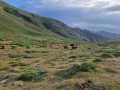 Refuge L'Onda - Pastricciola - Guagno Refuge L'Onda - Pastricciola - Guagno