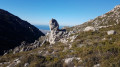 Monts Carpiagne et Saint-Cyr, deux géants marseillais Monts Carpiagne et Saint-Cyr, deux géants marseillais