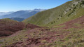 Upega - Morignole Upega - Morignole