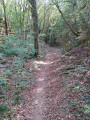 Par bois et combes à Messigny-et-Vantoux Par bois et combes à Messigny-et-Vantoux
