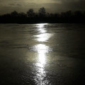Les berges de la Loire depuis Candé-sur-Beuvron Les berges de la Loire depuis Candé-sur-Beuvron