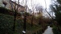 Coulée verte et parcours urbain de Colombes à Asnières Coulée verte et parcours urbain de Colombes à Asnières