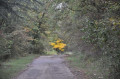 Combe Grisard, Combe de Creuse et sentier du Tacot Combe Grisard, Combe de Creuse et sentier du Tacot