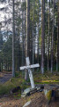Balade en forêt parmi les Bruyères Balade en forêt parmi les Bruyères
