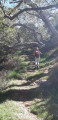 Dans la forêt primaire Dans la forêt primaire