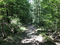 De Berru à Nogent : les bois de Berru De Berru à Nogent : les bois de Berru
