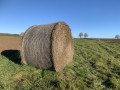 Dans les champs Dans les champs