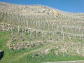 Tupin, Condrieu, Semons: entre Rhône et vignobles Tupin, Condrieu, Semons: entre Rhône et vignobles