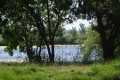 Gallician - Prés du Cailar - Berges du Vistre Gallician - Prés du Cailar - Berges du Vistre