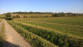 Balade vers le Kemmel Balade vers le Kemmel
