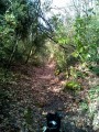 Début du sentier Début du sentier