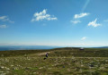 Le Mont Lozère depuis Finiels Le Mont Lozère depuis Finiels