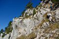 Les Dents de Crolles par le col de la Saulce, Trou du Glaz et col des Ayes Les Dents de Crolles par le col de la Saulce, Trou du Glaz et col des Ayes